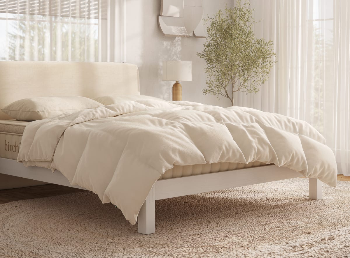 Natural Down Duvet Insert