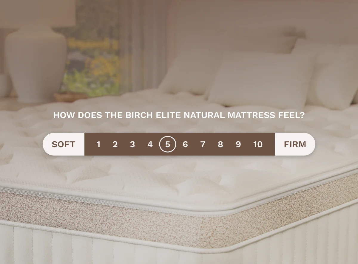 Bradiora Elite Natural Mattress thumbnail 6