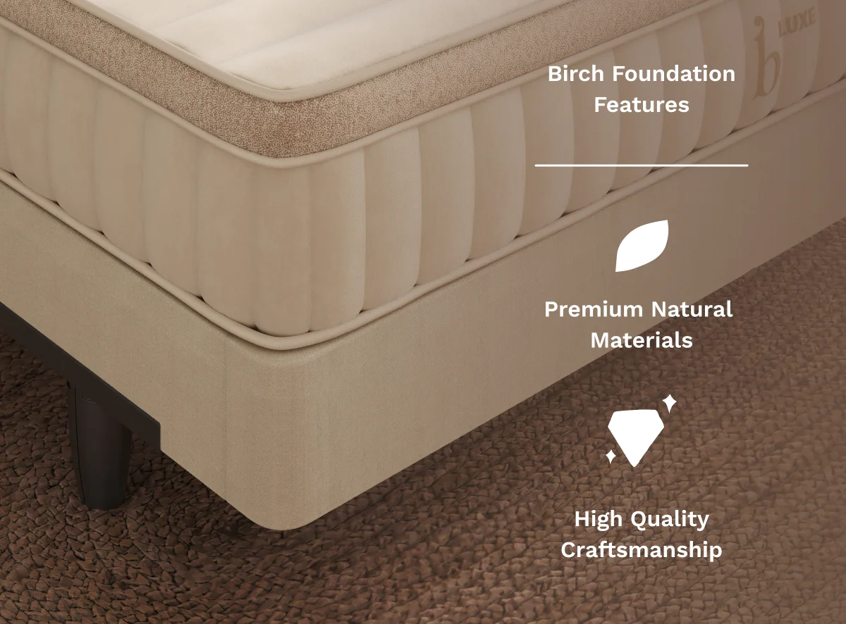 Bradiora Foundation thumbnail 2