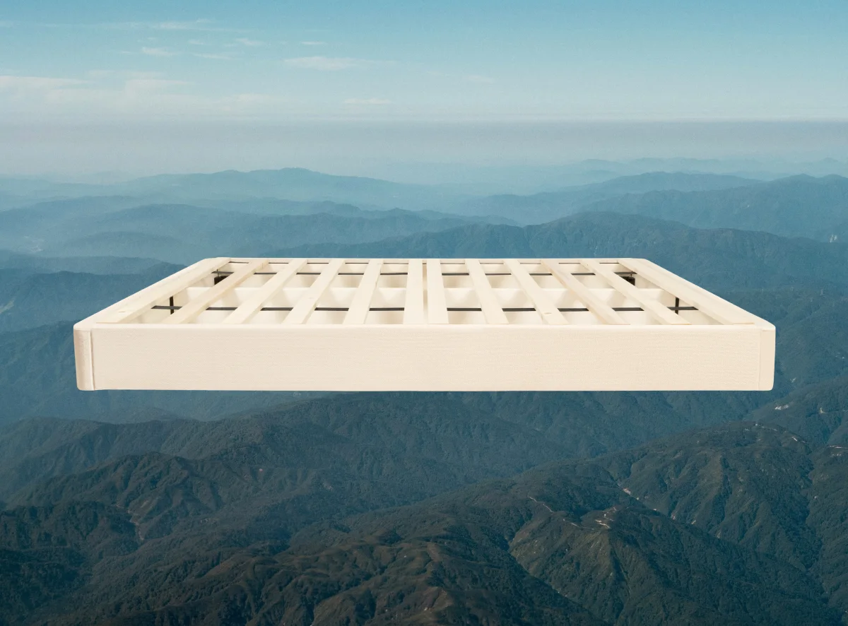 Bradiora Foundation thumbnail 3