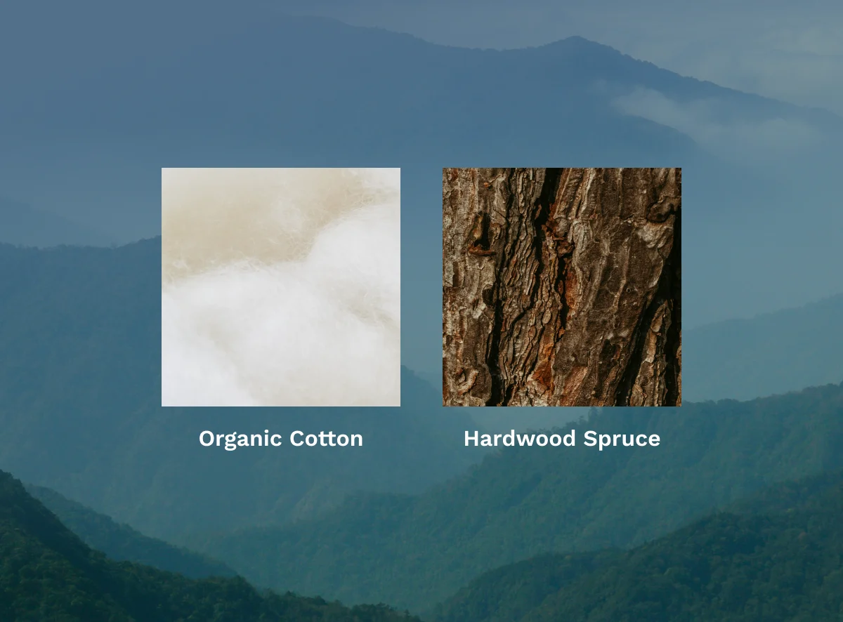 Bradiora Foundation thumbnail 5